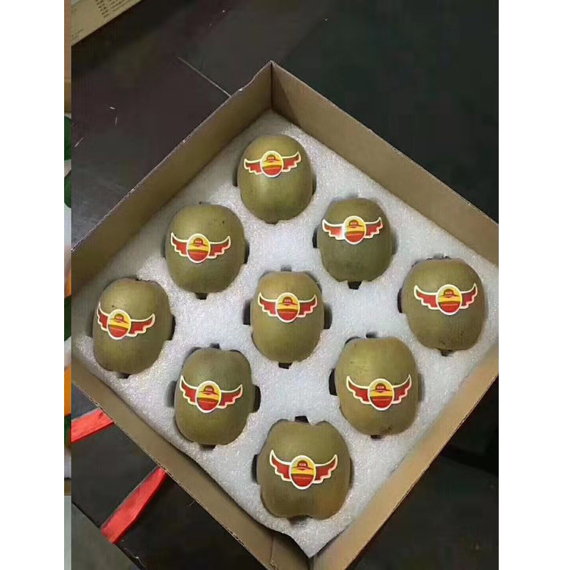 珍珠棉異形包裝--鮮果內(nèi)襯